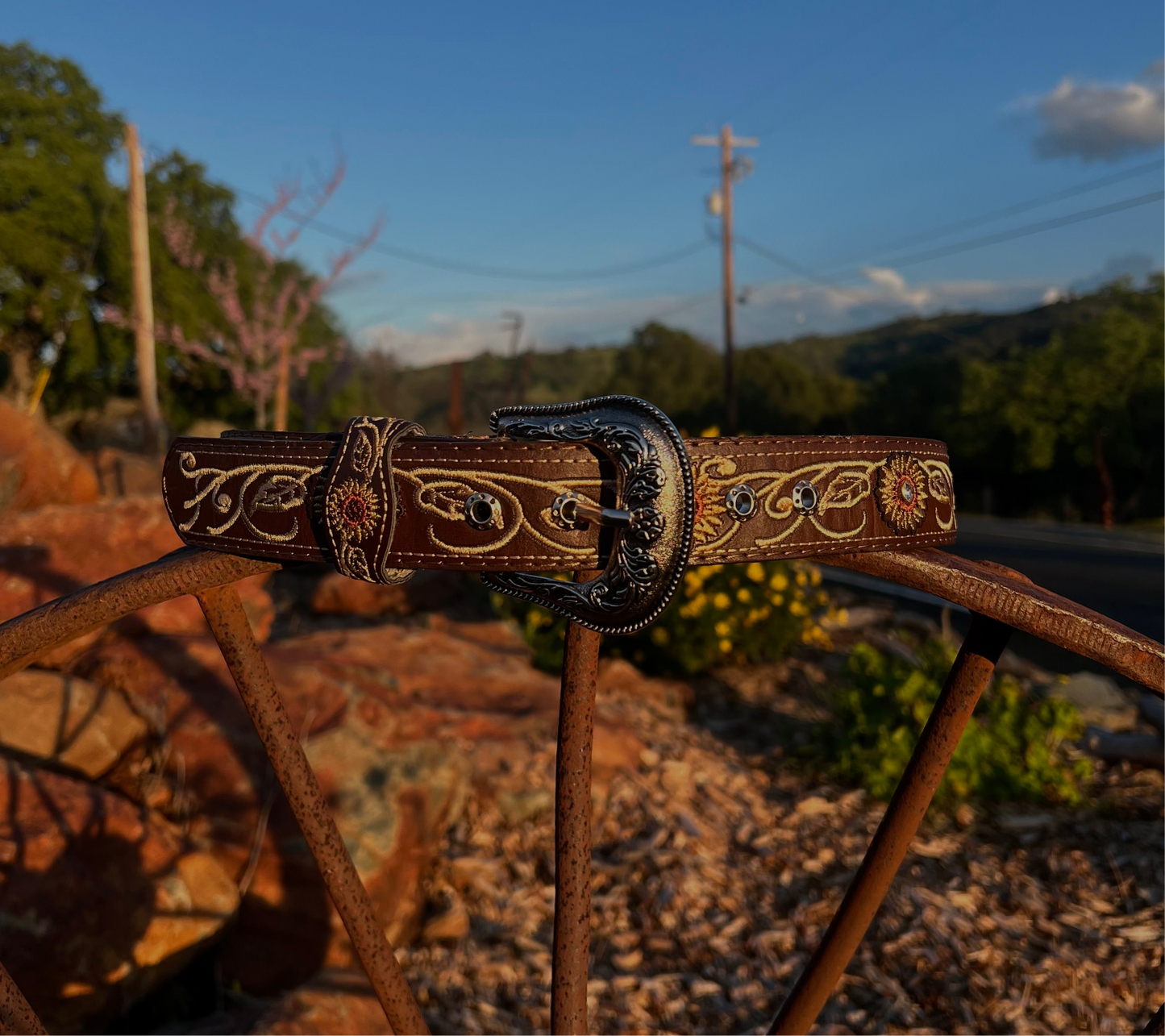Encantadora Western Belt - Humilde Tentación