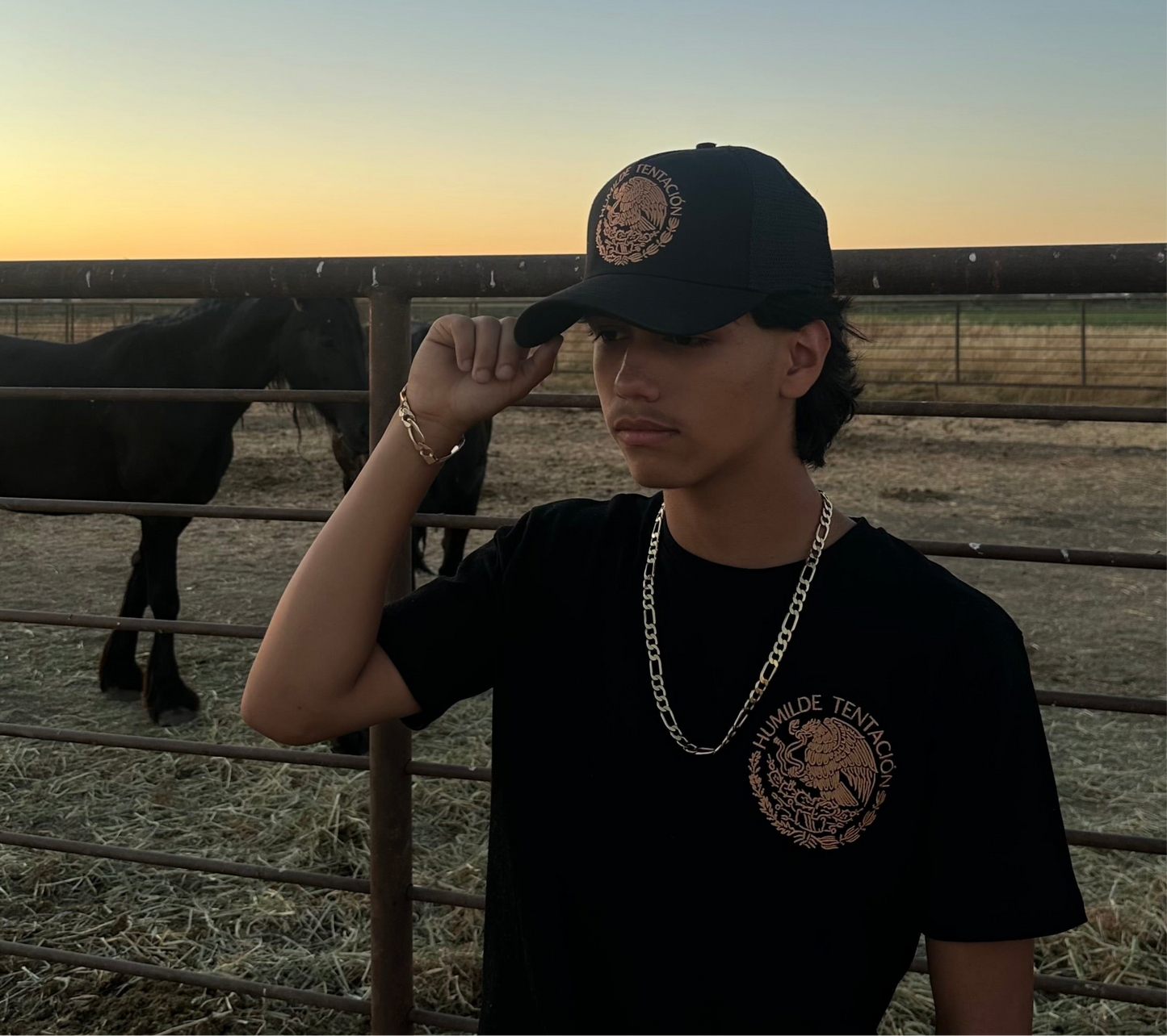 Lujoso Hat - Humilde Tentación